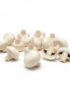 Button Mushroom 250g