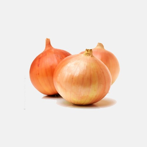 Onion-1.jpg Onion