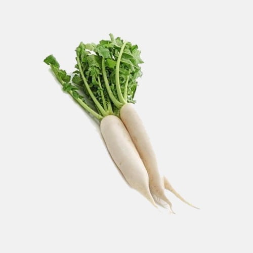 Radish-White.jpg White Radish (Mula) - 3 Pcs - Image 1
